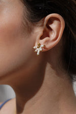 Load image into Gallery viewer, Broquel acero inoxidable y perla de río