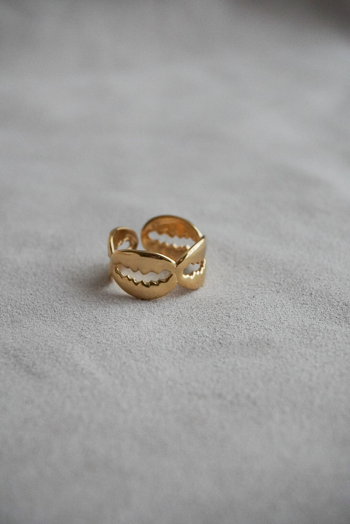 Anillo de acero inoxidable ajustable.
