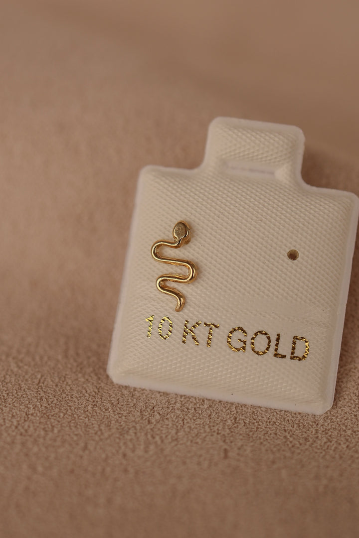 Broquel serpiente oro 10 kilates