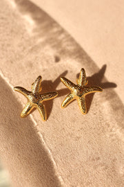 Aretes estrella de mar acero inoxidable