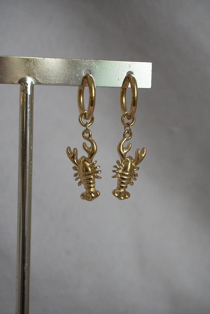 Hoops de acero inoxidable langosta