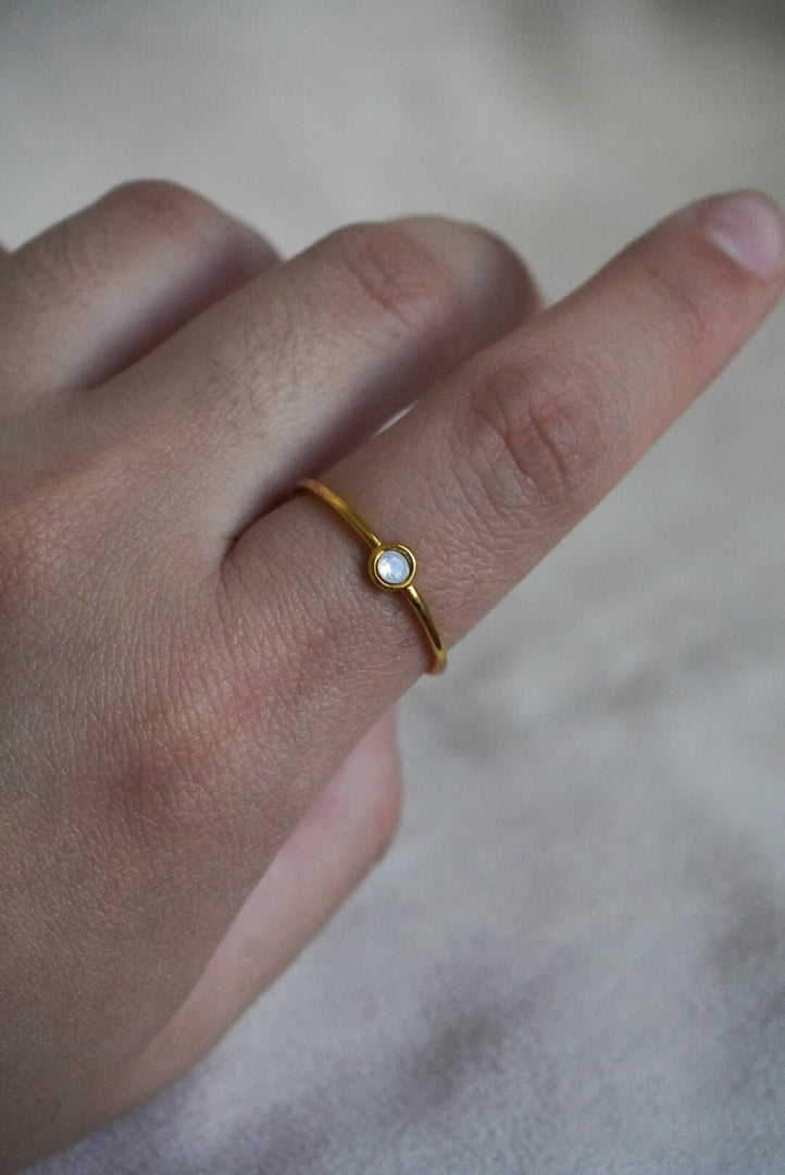 Anillo de acero inoxidable ajustable
