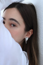 Load image into Gallery viewer, Aretes de acero inoxidable
