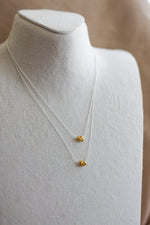Load image into Gallery viewer, Collar doble chapa de oro
